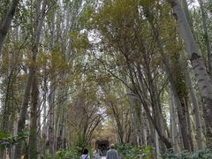 -艾提尕尔清真寺