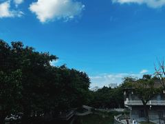 -东涌水乡风情街