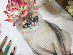 -八哥美术·成人美术画室(总校区)