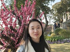 -无锡梅园公园