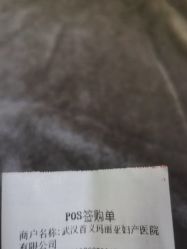 -玛丽亚妇产医院