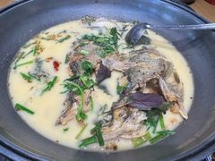 -岩泊渡桂鱼楼活鱼馆