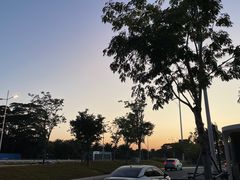 -深圳湾公园(南山区)