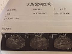-天时宠物医院24小时疑难病例会诊中心(顾乡大街总院)