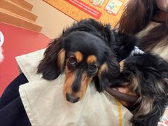 -和它·交个朋友·狗咖猫咖(爱琴海店)