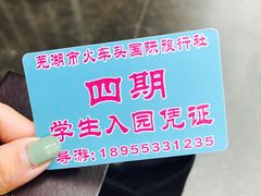 门票-芜湖方特东方神画