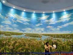 -盐城丹顶鹤湿地生态旅游区