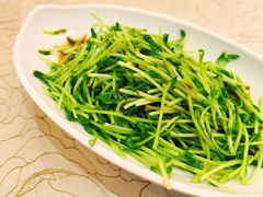 鲜灼豆苗-荣誉国宴楼(美食城店)