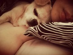 -Oh My Dog宠物沙龙(伊珊娜皮毛护理店)