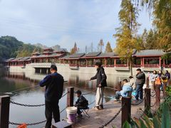 -重庆彩云湖湿地公园