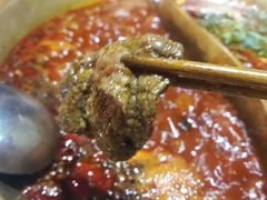 -杨家火锅(国美店)