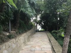 -泰州凤城河风景区-泰山公园