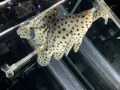 -邯郸海洋世界