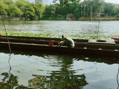 -荔湾湖公园