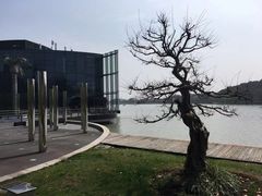 -上海月湖雕塑公园