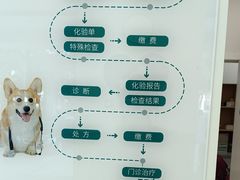 -瑞派康怡24h宠物医院·犬猫医疗中心·微创绝育(瑞景分院)