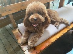 -半坡九号老挝冰咖啡