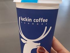 -瑞幸咖啡(北美N1购物中心店)