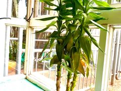 -米粒咖啡小屋(国贸店)