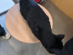 -小伙伴宠物医院•急重症转诊中心·老年专科·犬猫全科(北大街总院)