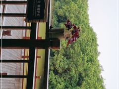 -大湾区中央湿地公园