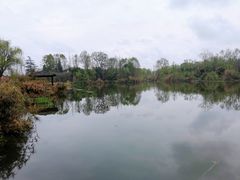 -桤木河湿地公园