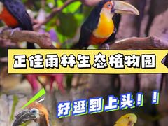 -正佳雨林生态植物园