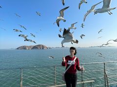 -海驴岛(荣成市)