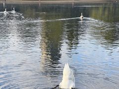 -海德公园