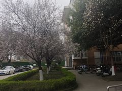 -首开·龙湖成都西宸天街