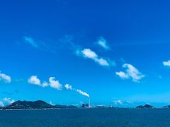 -广东惠东海龟国家级自然保护区