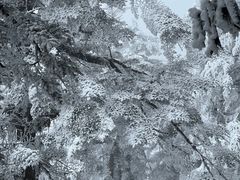 -瓦屋山景区