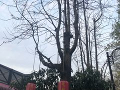 -国生茶庄·地道农家菜团建活动