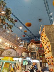 -卡通尼·Safari非洲探索乐园·生日会(金桥国际商业广场店)