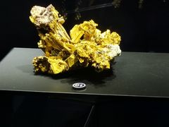 -湖南省地质博物馆