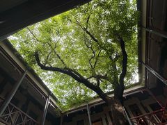 -楼外楼大刀肉传统火锅(西安大路店)