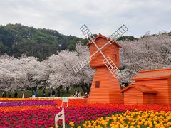 -苏州上方山国家森林公园