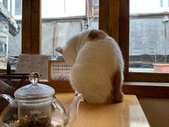 -猫的天空之城概念书店(苏州平江店)