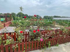 -上膳源有机农场