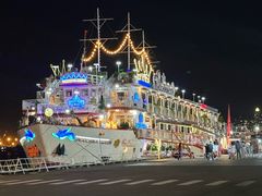 -西贡河游船