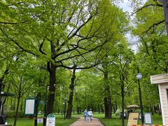 -滴血救世主教堂