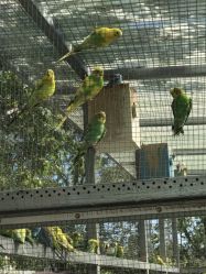 -萌宠亲子动物乐园(槐房万达店)