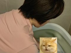 -爱贝尔高端月嫂(母婴护理)