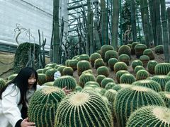 -南山植物园