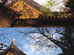 -灵岩山风景区