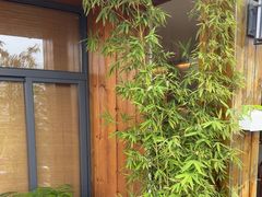 -小茶闲舍·观景商务茶馆(广州塔店)