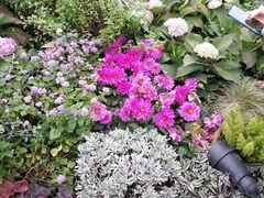 -重庆市江北嘴中央商务区中央公园