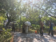-常熟方塔园