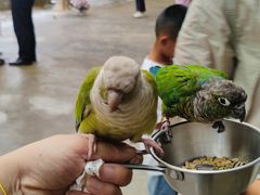 -昆明动物园