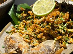 -Ameigo梅果·云贵川bistro(长宁来福士店)